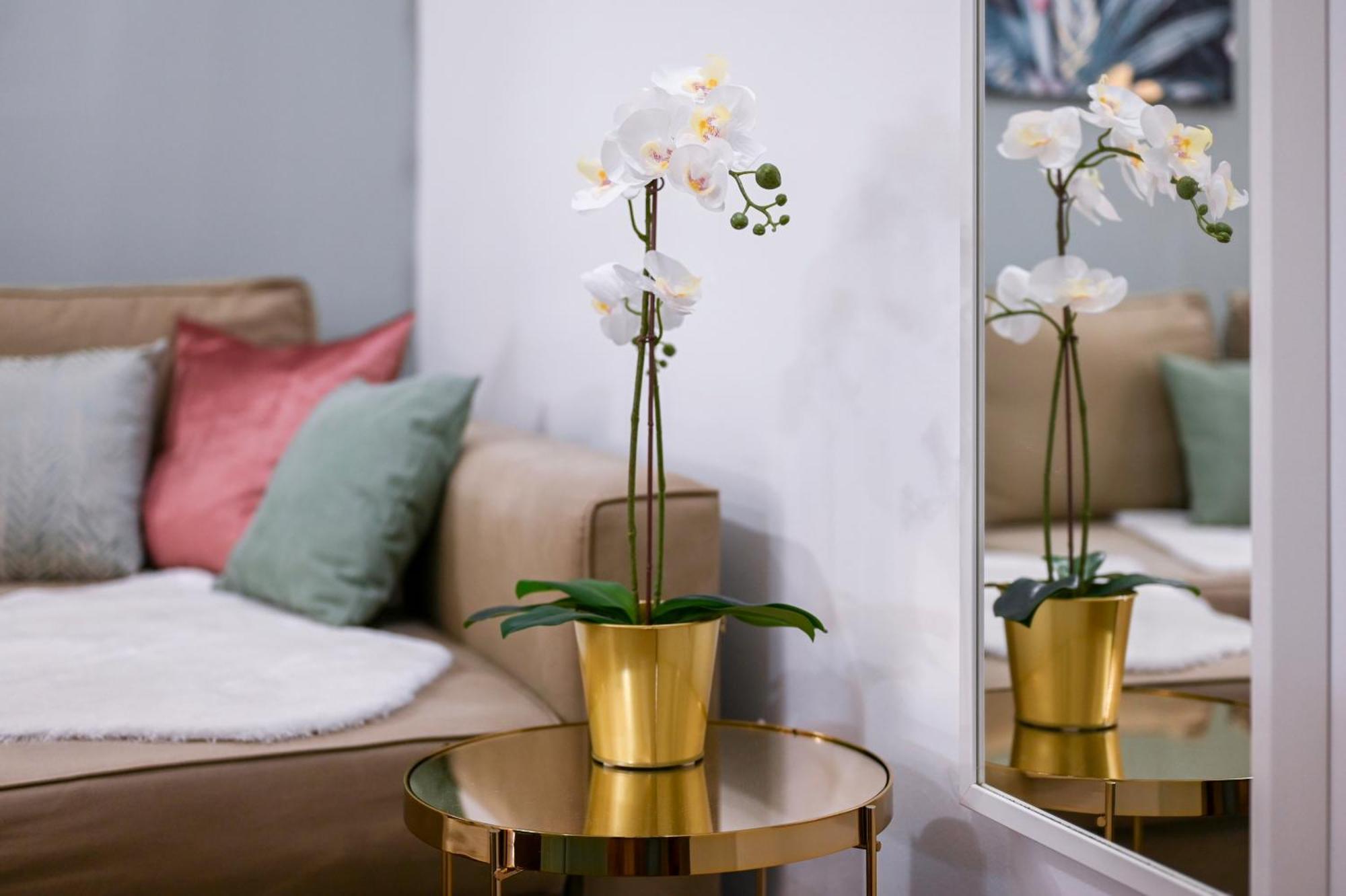 Apartmán Amethyst - Kadar Budapešť